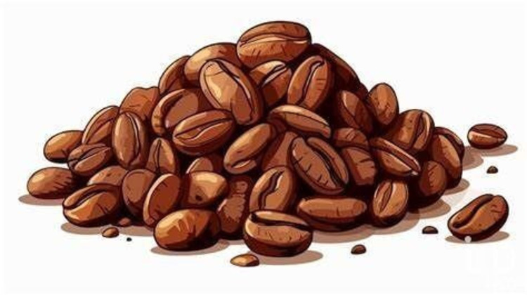 Ma-Cabane - Vente Boutique Avignon, 31 m²