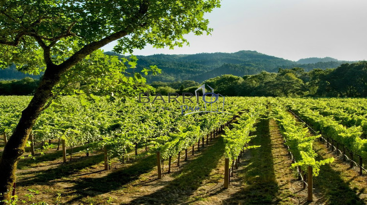 Ma-Cabane - Vente Boutique banyuls sur mer, 320 m²