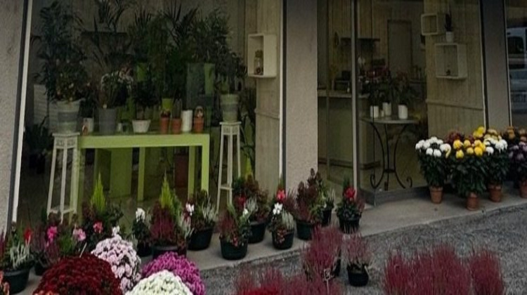 Ma-Cabane - Vente Boutique Beaurepaire, 100 m²