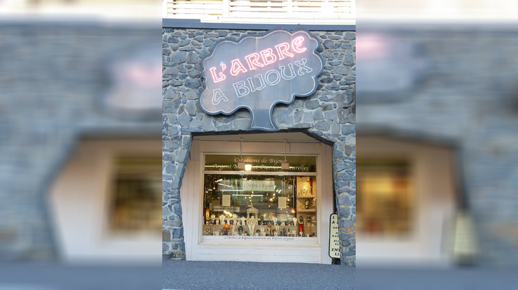 Ma-Cabane - Vente Boutique Besse-et-Saint-Anastaise, 85 m²