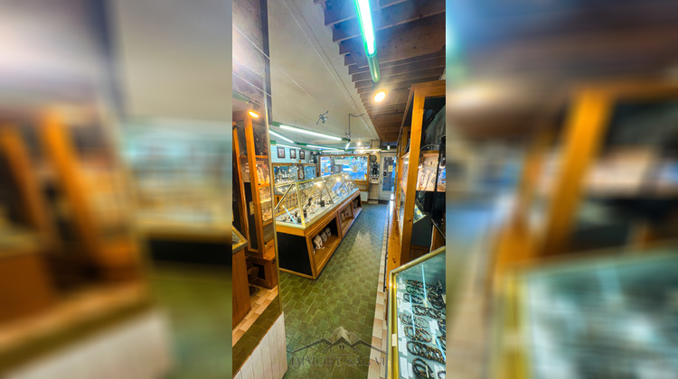 Ma-Cabane - Vente Boutique Besse-et-Saint-Anastaise, 85 m²