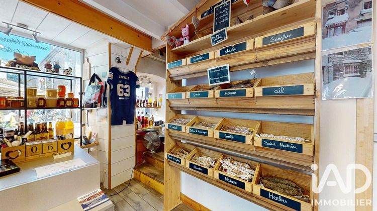 Ma-Cabane - Vente Boutique Besse-Et-Saint-Anastaise, 20 m²