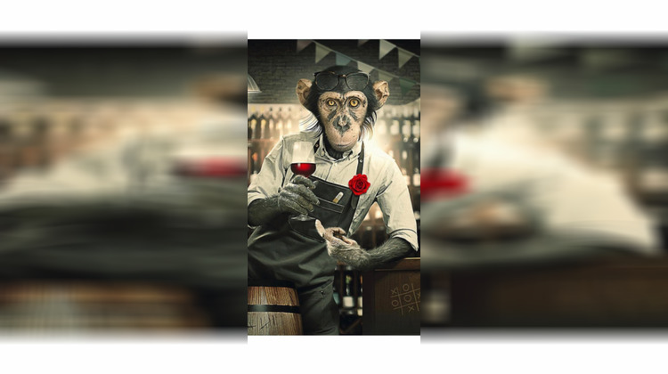 Ma-Cabane - Vente Boutique Betton, 47 m²