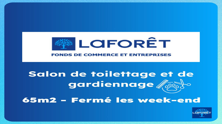 Ma-Cabane - Vente Boutique Bordeaux, 66 m²