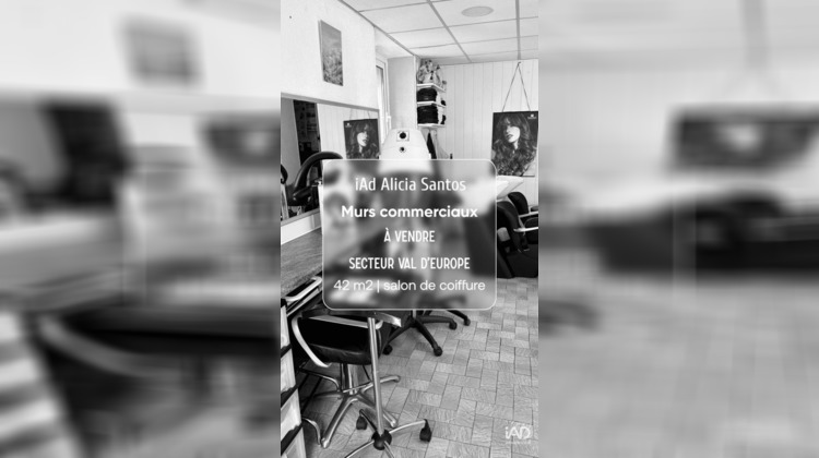 Ma-Cabane - Vente Boutique Bussy-Saint-Georges, 42 m²