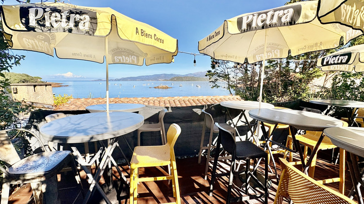 Ma-Cabane - Vente Boutique Calcatoggio, 100 m²