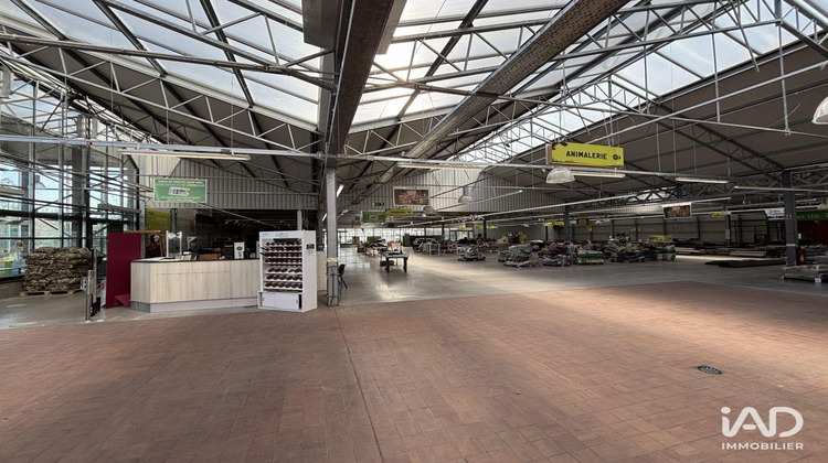 Ma-Cabane - Vente Boutique Cappelle-la-Grande, 6250 m²