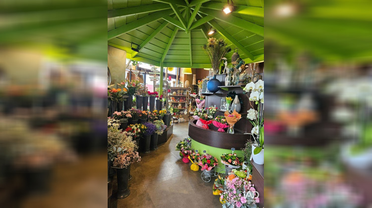 Ma-Cabane - Vente Boutique Carhaix-Plouguer, 172 m²