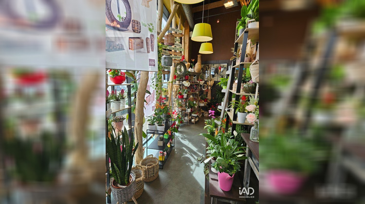 Ma-Cabane - Vente Boutique Carhaix-Plouguer, 172 m²