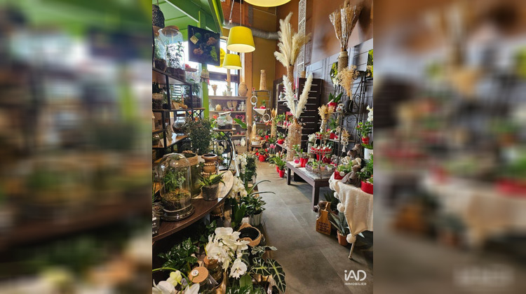 Ma-Cabane - Vente Boutique Carhaix-Plouguer, 172 m²