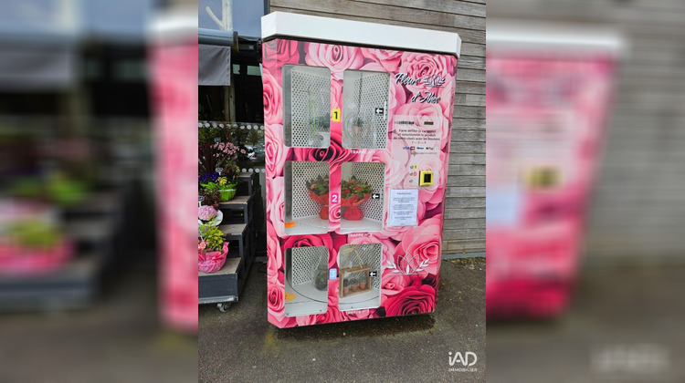 Ma-Cabane - Vente Boutique Carhaix-Plouguer, 172 m²