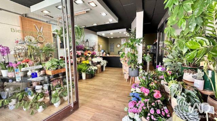 Ma-Cabane - Vente Boutique Castries, 90 m²