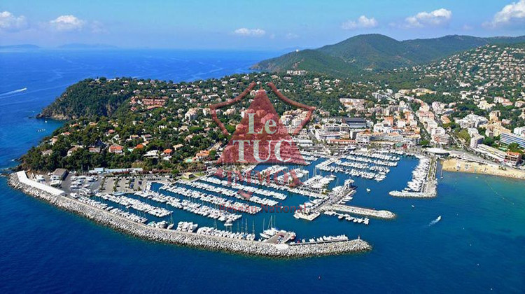 Ma-Cabane - Vente Boutique Cavalaire-sur-Mer, 460 m²