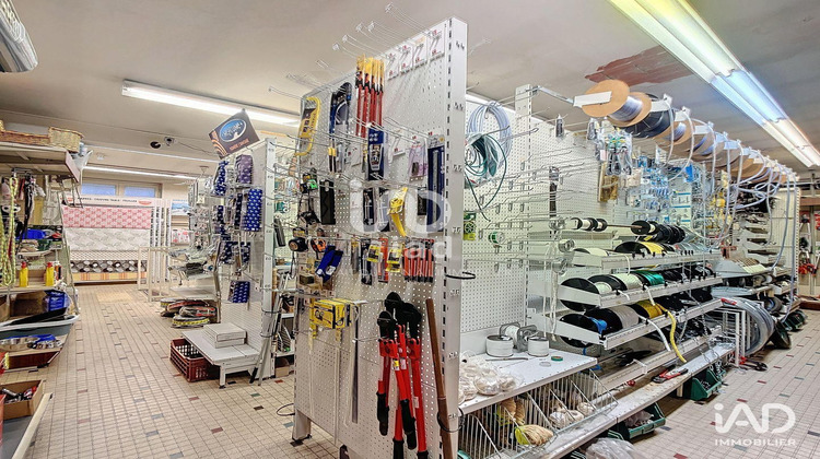Ma-Cabane - Vente Boutique Caylus, 550 m²