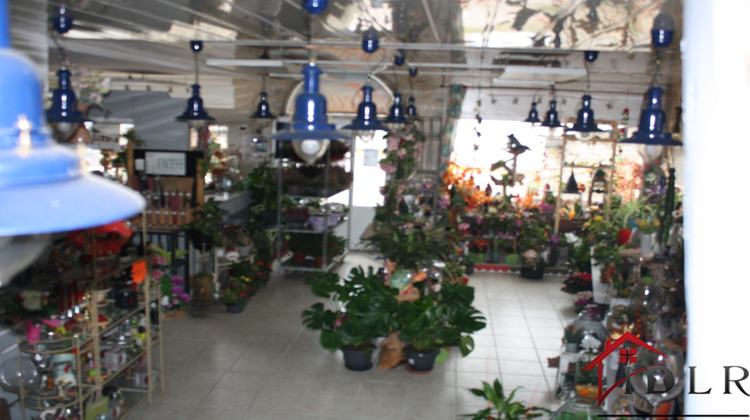 Ma-Cabane - Vente Boutique Chalindrey, 120 m²