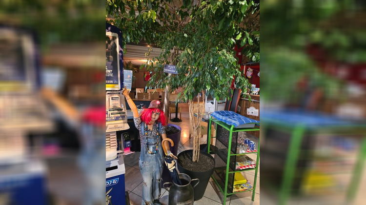 Ma-Cabane - Vente Boutique CHALLANS, 312 m²