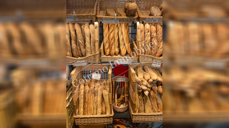 Ma-Cabane - Vente Boutique CHASSIEU, 60 m²