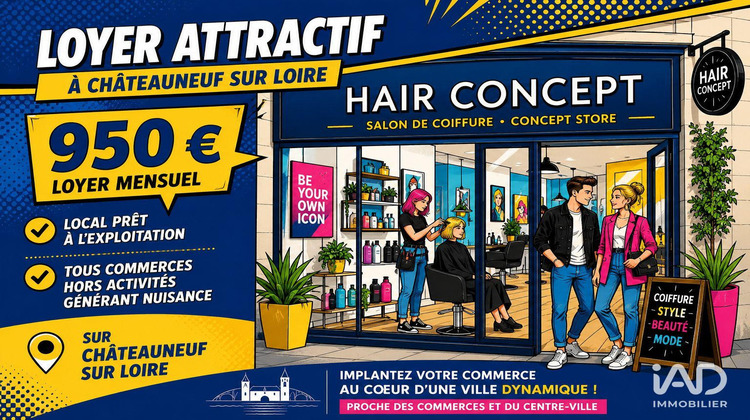 Ma-Cabane - Vente Boutique Châteauneuf-sur-Loire, 148 m²
