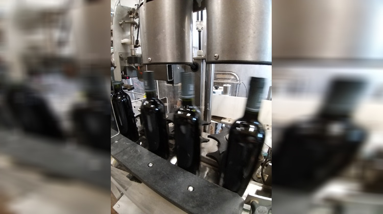 Ma-Cabane - Vente Boutique Cotignac, 1 m²