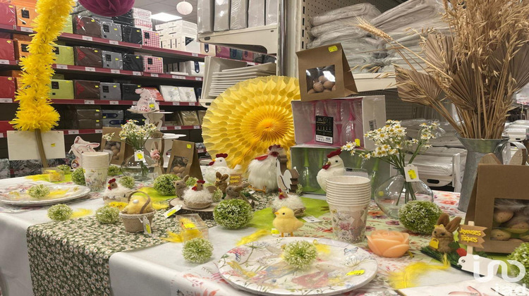 Ma-Cabane - Vente Boutique Dax, 400 m²