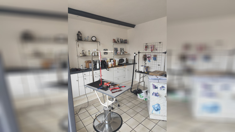 Ma-Cabane - Vente Boutique Doudeville, 30 m²