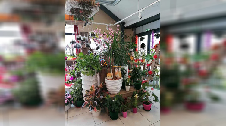 Ma-Cabane - Vente Boutique Dun-sur-Auron, 144 m²