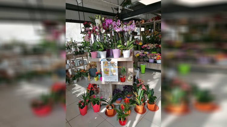 Ma-Cabane - Vente Boutique Dun-sur-Auron, 144 m²