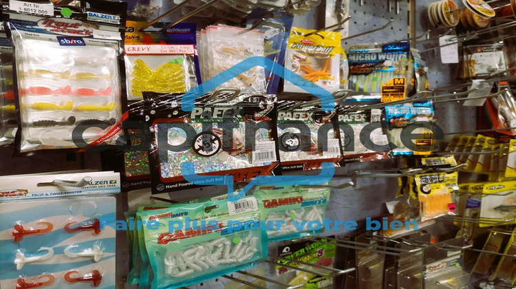 Ma-Cabane - Vente Boutique FALAISE, 250 m²