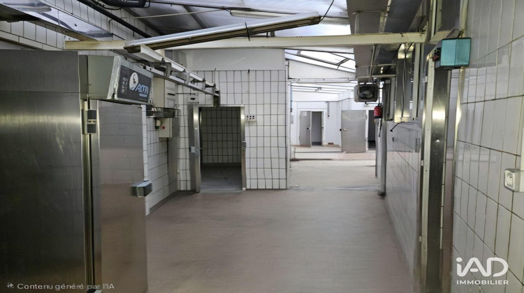 Ma-Cabane - Vente Boutique Fleury-les-Aubrais, 495 m²