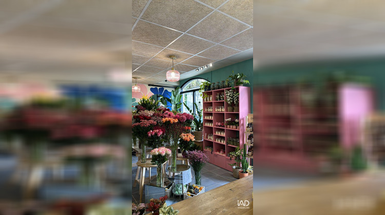 Ma-Cabane - Vente Boutique Franconville, 46 m²