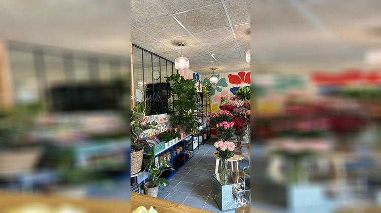 Ma-Cabane - Vente Boutique Franconville, 46 m²