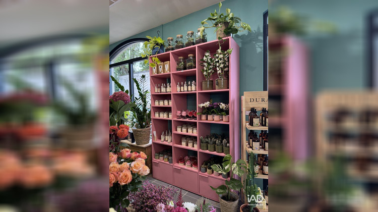 Ma-Cabane - Vente Boutique Franconville, 46 m²