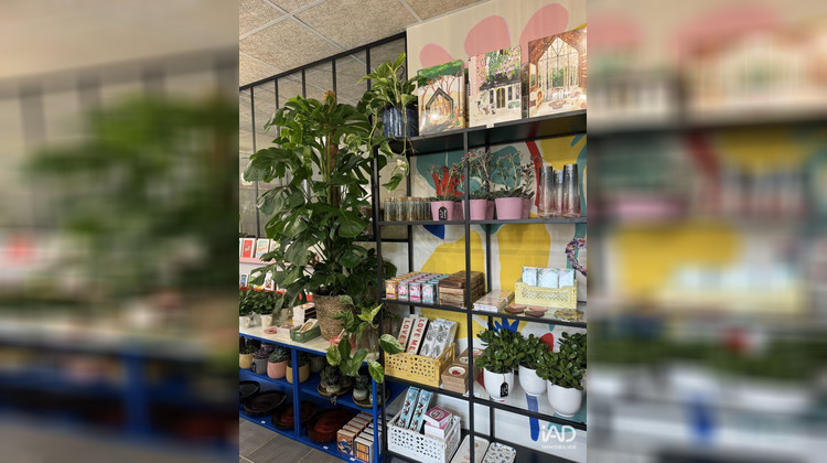 Ma-Cabane - Vente Boutique Franconville, 46 m²