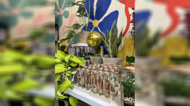 Ma-Cabane - Vente Boutique Franconville, 46 m²