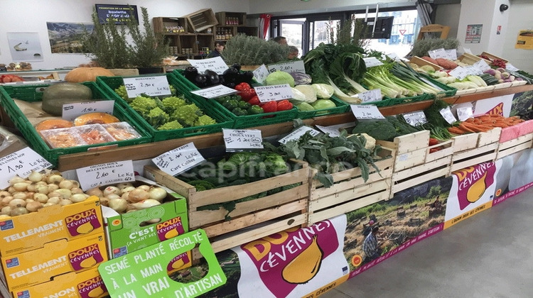 Ma-Cabane - Vente Boutique GANGES, 157 m²