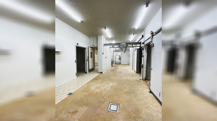 Ma-Cabane - Vente Boutique Hondschoote, 252 m²