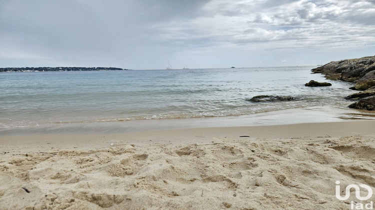 Ma-Cabane - Vente Boutique Juan-les-Pins, 37 m²