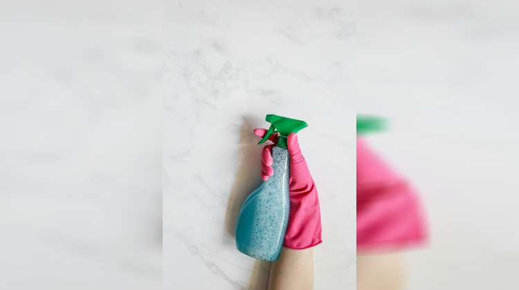 Ma-Cabane - Vente Boutique L ILE D YEU, 5 m²