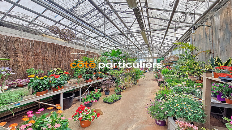 Ma-Cabane - Vente Boutique LA CHAPELLE-D'ARMENTIERES, 235 m²