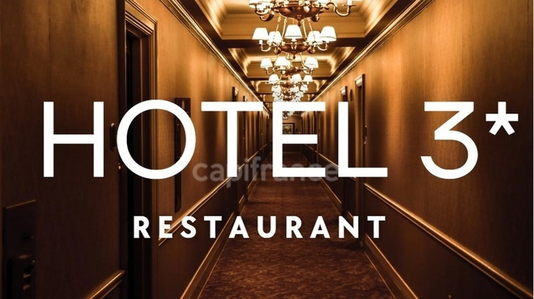 Ma-Cabane - Vente Boutique LAMOTTE BEUVRON, 880 m²