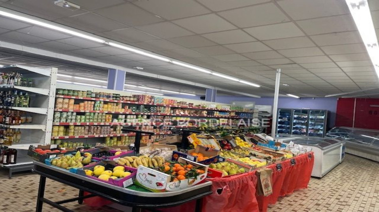 Ma-Cabane - Vente Boutique Landiras, 415 m²