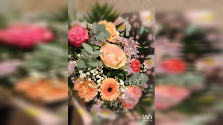 Ma-Cabane - Vente Boutique Lannion, 70 m²