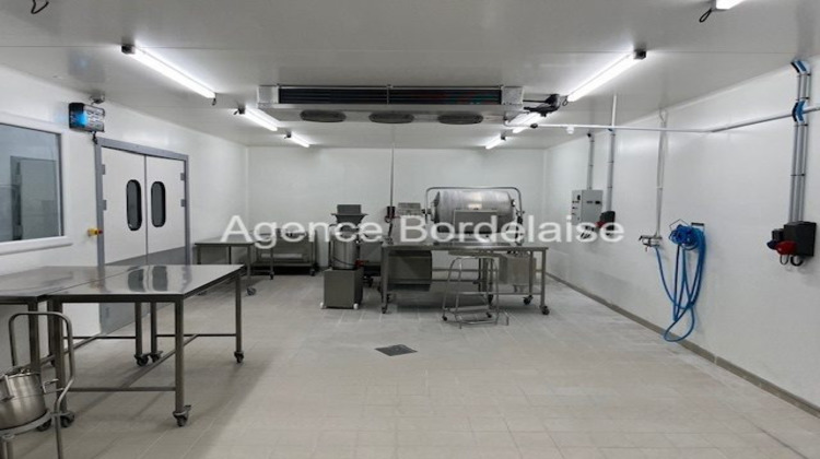Ma-Cabane - Vente Boutique Le Bouscat, 180 m²