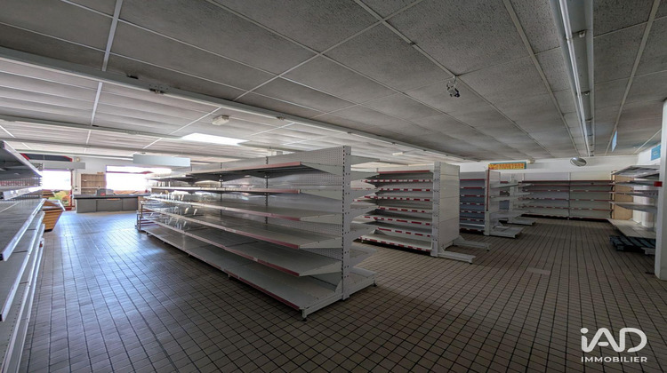 Ma-Cabane - Vente Boutique Le Grand-Lucé, 450 m²
