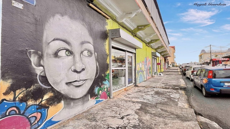 Ma-Cabane - Vente Boutique LE MOULE, 300 m²