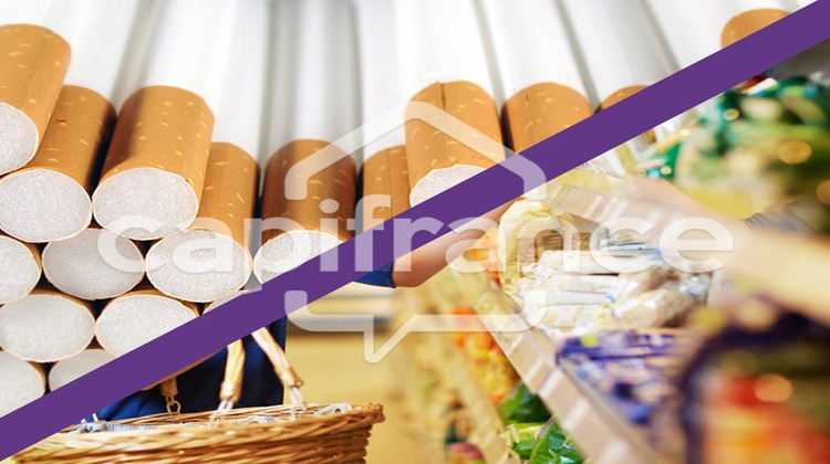 Ma-Cabane - Vente Boutique LE TEMPLE SUR LOT, 233 m²