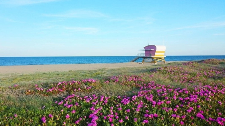 Ma-Cabane - Vente Boutique LEUCATE, 231 m²