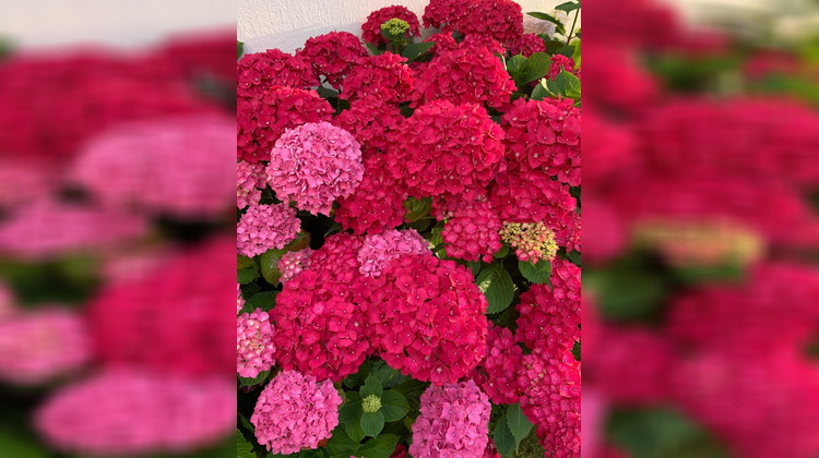 Ma-Cabane - Vente Boutique Livry-Gargan, 180 m²