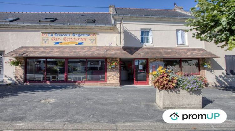 Ma-Cabane - Vente Boutique Louresse-Rochemenier, 400 m²