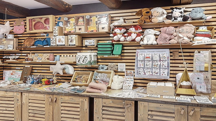 Ma-Cabane - Vente Boutique LUCINGES, 200 m²